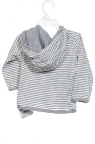 Dziecięca kurtka Lupilu, Rozmiar 18-24m/ 86-98 cm, Kolor Kolorowy, Cena 76,40 zł