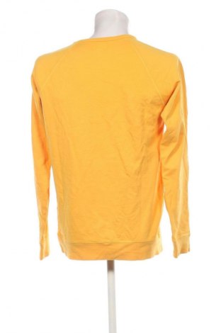 Herren Shirt Scalpers, Größe L, Farbe Gelb, Preis 28,99 €