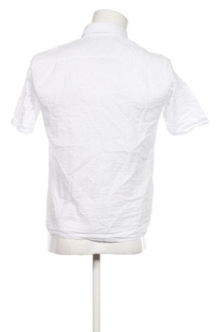 Ανδρικό πουκάμισο Casa Moda, Μέγεθος M, Χρώμα Λευκό, Τιμή 30,99 €