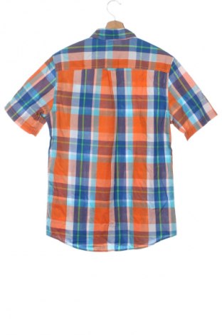 Herrenhemd Chaps, Größe S, Farbe Mehrfarbig, Preis € 20,99