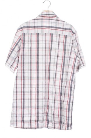 Herrenhemd Grey Connection, Größe XS, Farbe Mehrfarbig, Preis 20,46 €