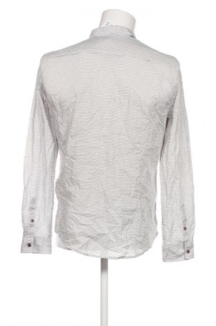 Herrenhemd Tom Tailor, Größe M, Farbe Mehrfarbig, Preis € 23,99