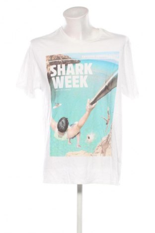 Herren T-Shirt Bershka, Größe L, Farbe Mehrfarbig, Preis € 18,47