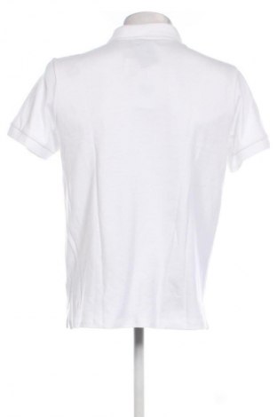 Herren T-Shirt Dan Fox X About You, Größe L, Farbe Ecru, Preis € 32,99
