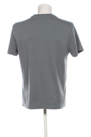 Herren T-Shirt Hollister, Größe M, Farbe Grau, Preis € 23,99