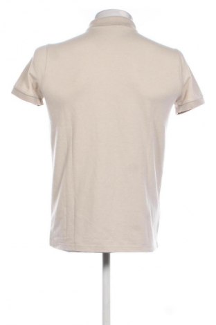 Męski T-shirt Hollister, Rozmiar S, Kolor Beżowy, Cena 65,99 zł