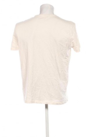 Męski T-shirt Tom Tailor, Rozmiar XL, Kolor ecru, Cena 49,99 zł