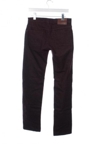Herren Jeans Pertegaz, Größe S, Farbe Rot, Preis € 27,99
