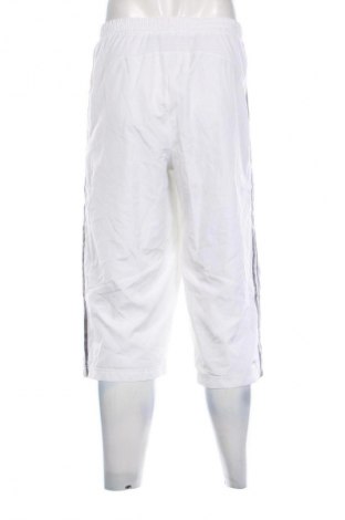 Herren Shorts Adidas, Größe XL, Farbe Mehrfarbig, Preis € 23,99