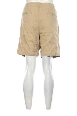 Herren Shorts American Eagle, Größe L, Farbe Beige, Preis € 23,99