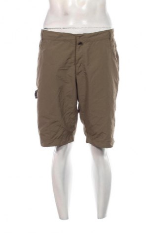 Herren Shorts Jack Wolfskin, Größe L, Farbe Grün, Preis € 56,37