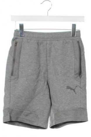 Herren Shorts PUMA, Größe XS, Farbe Grau, Preis € 23,99