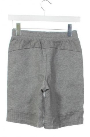 Herren Shorts PUMA, Größe XS, Farbe Grau, Preis € 23,99