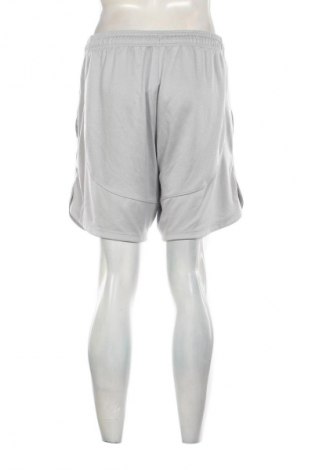 Herren Shorts Under Armour, Größe L, Farbe Grau, Preis € 23,99