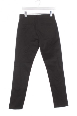 Herrenhose Next, Größe XS, Farbe Grün, Preis € 56,52