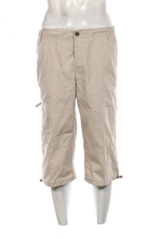 Herrenhose Unbranded, Größe L, Farbe Beige, Preis € 27,99