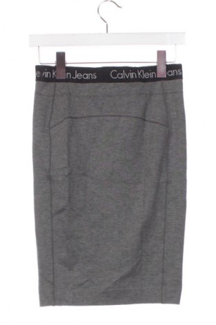 Φούστα Calvin Klein Jeans, Μέγεθος XS, Χρώμα Γκρί, Τιμή 34,78 €