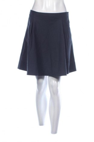 Sukňa Ralph Lauren, Veľkosť S, Farba Modrá, Cena  40,00 €