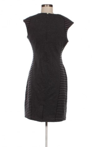 Šaty  Calvin Klein, Veľkosť M, Farba Viacfarebná, Cena  71,95 €