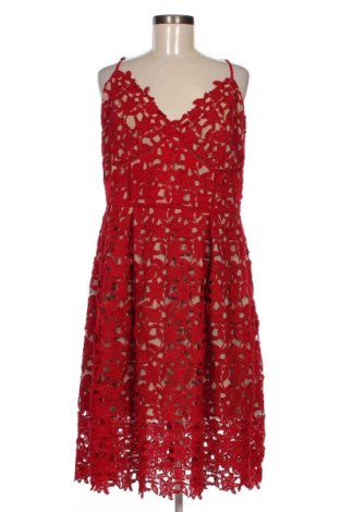 Kleid City Chic, Größe XL, Farbe Mehrfarbig, Preis 40,99 €
