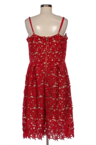 Kleid City Chic, Größe XL, Farbe Mehrfarbig, Preis 40,99 €