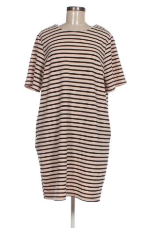 Rochie Dorothy Perkins, Mărime XL, Culoare Multicolor, Preț 91,99 Lei