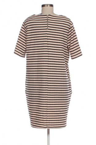 Rochie Dorothy Perkins, Mărime XL, Culoare Multicolor, Preț 91,99 Lei