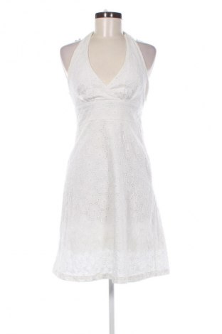 Sukienka Dorothy Perkins, Rozmiar M, Kolor Kolorowy, Cena 65,69 zł
