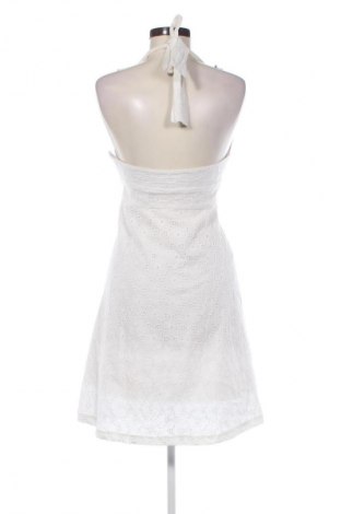 Sukienka Dorothy Perkins, Rozmiar M, Kolor Kolorowy, Cena 65,69 zł