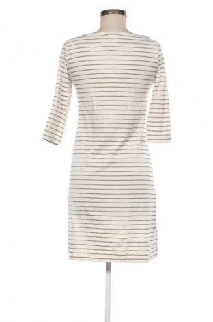 Rochie Filippa K, Mărime S, Culoare Multicolor, Preț 575,63 Lei