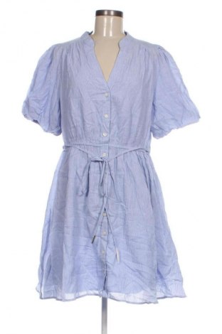 Kleid Forever New, Größe XL, Farbe Mehrfarbig, Preis € 132,99