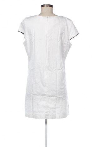 Kleid Freeshion, Größe XL, Farbe Mehrfarbig, Preis € 20,35