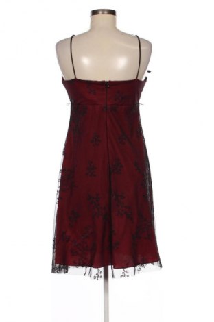 Kleid Jake*s, Größe S, Farbe Mehrfarbig, Preis 42,99 €