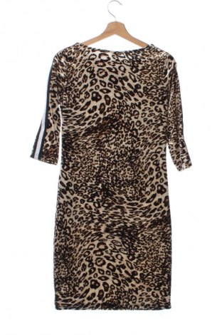 Kleid Jdy, Größe XS, Farbe Mehrfarbig, Preis € 20,99