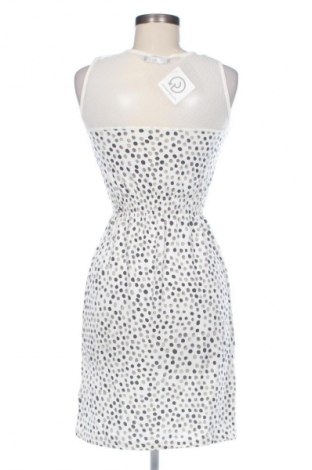 Kleid Liu Jo, Größe L, Farbe Mehrfarbig, Preis € 62,92