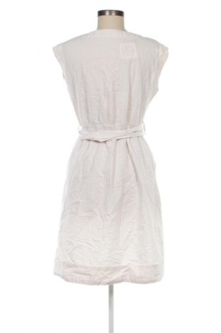 Kleid Mango, Größe M, Farbe Mehrfarbig, Preis € 33,99