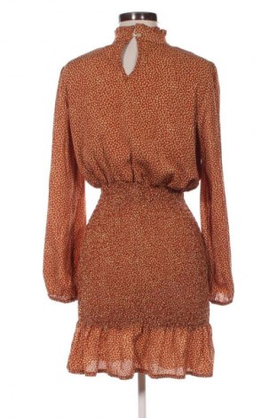 Kleid Minx & Moss, Größe M, Farbe Mehrfarbig, Preis € 20,99
