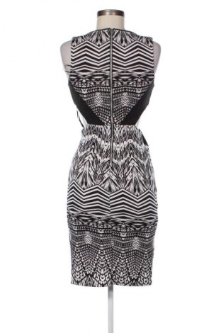 Kleid Miss Selfridge, Größe M, Farbe Mehrfarbig, Preis € 15,80