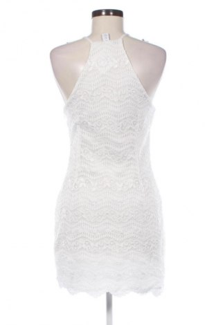 Kleid Nly Trend, Größe M, Farbe Mehrfarbig, Preis 27,45 €