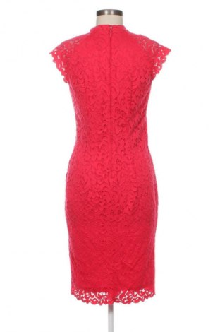Kleid Orsay, Größe L, Farbe Rot, Preis € 20,99