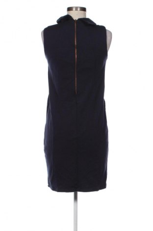 Φόρεμα Phase Eight, Μέγεθος M, Χρώμα Μπλέ, Τιμή 42,94 €