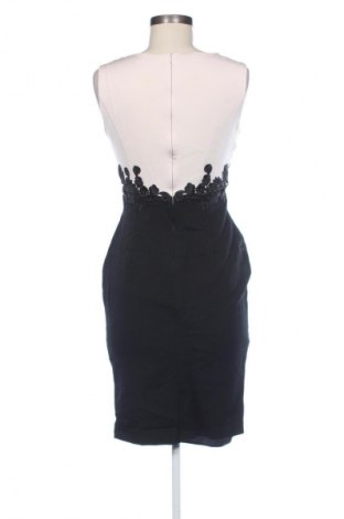 Kleid Phase Eight, Größe M, Farbe Mehrfarbig, Preis € 49,17