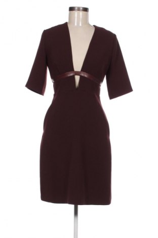Kleid Pietro Filipi, Größe S, Farbe Braun, Preis € 27,44