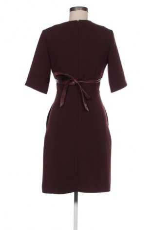 Kleid Pietro Filipi, Größe S, Farbe Braun, Preis € 27,44