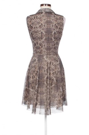 Kleid Review, Größe S, Farbe Mehrfarbig, Preis € 33,99