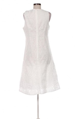 Φόρεμα SHEIN, Μέγεθος L, Χρώμα Λευκό, Τιμή 18,99 €
