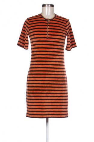 Šaty  Scotch & Soda, Veľkosť S, Farba Viacfarebná, Cena  56,95 €