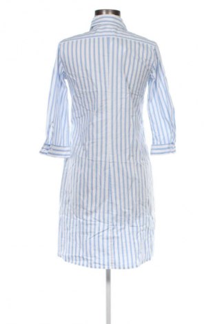 Kleid Seidensticker, Größe S, Farbe Mehrfarbig, Preis 33,99 €