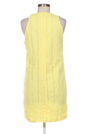 Φόρεμα Something Borrowed, Μέγεθος M, Χρώμα Κίτρινο, Τιμή 33,99 €