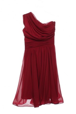 Kleid Unbranded, Größe S, Farbe Rot, Preis 29,50 €